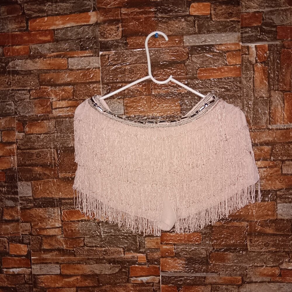 ✨️  Forever 21 Pink and silver fringe shorts ✨️